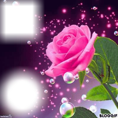 Rose Fotomontage