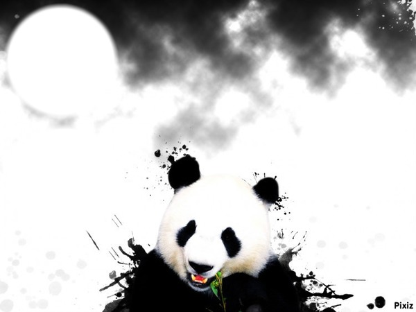 panda Fotomontagem