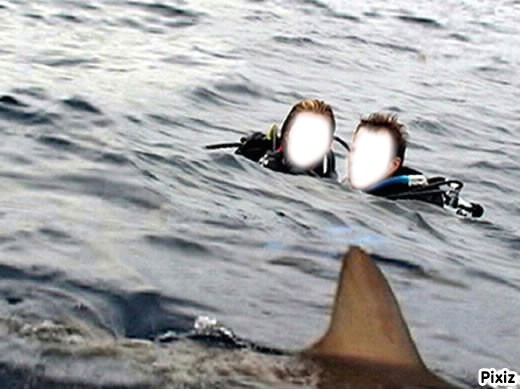 requin Fotomontaż