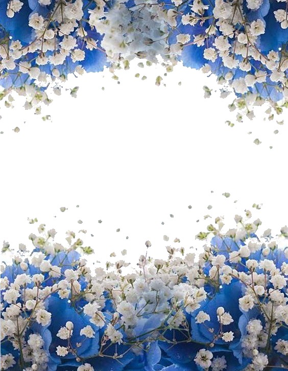 florecillas blancas. Fotomontage