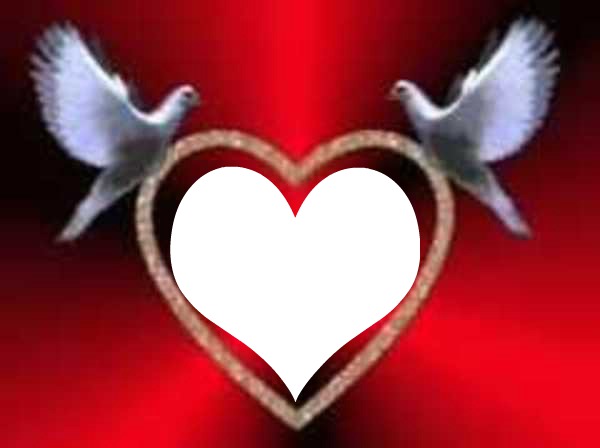 Dove Heart Photomontage