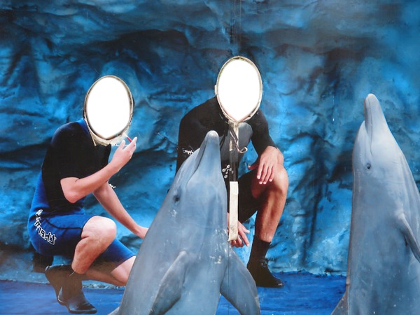 Delfines Fotomontagem