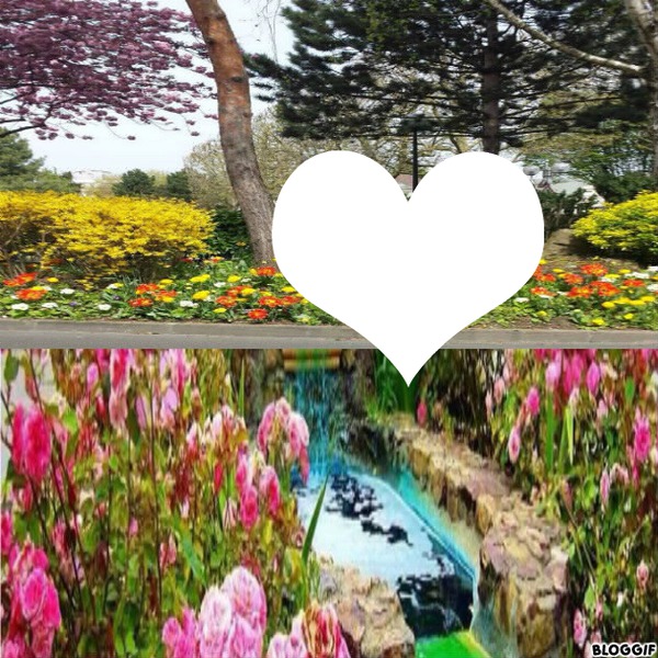 jardin de fleur Fotomontage