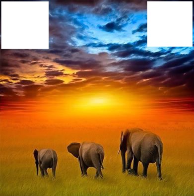 Africa Photo frame effect