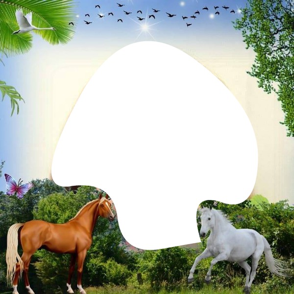 imagen con caballos Fotomontage