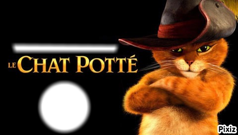 chat potté Photo frame effect