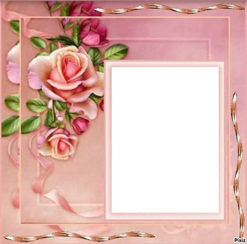 nelly sery Photo frame effect