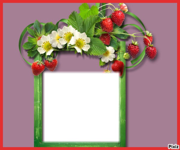 fraises Photo frame effect