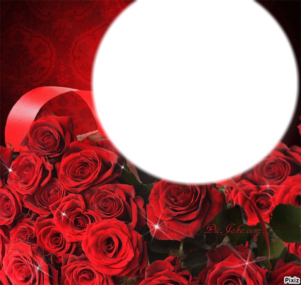 roses rouge Photomontage