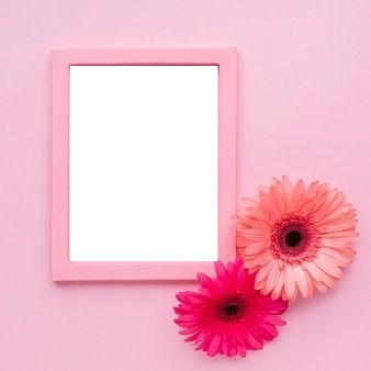 marco, flores y fondo rosados. Fotomontagem