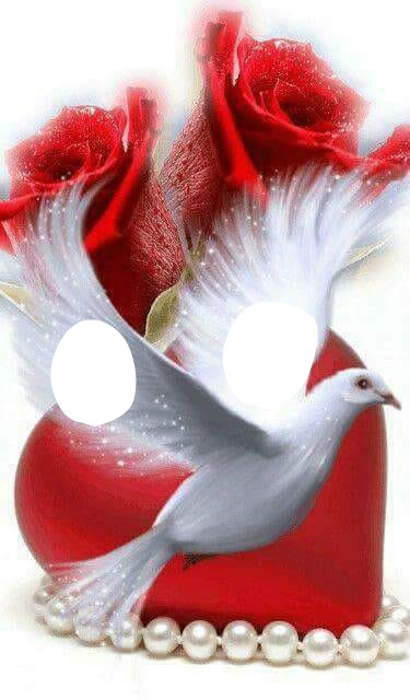 blanca paloma Φωτομοντάζ