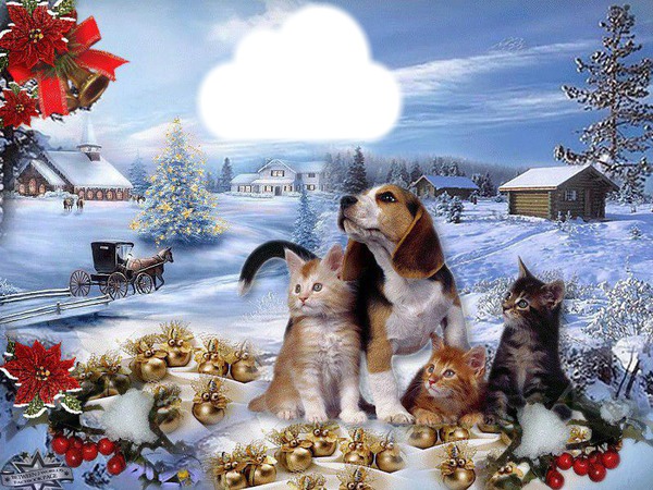 Chien & Chats Montage photo