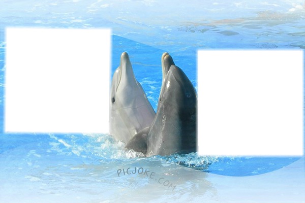 dauphins Fotomontāža