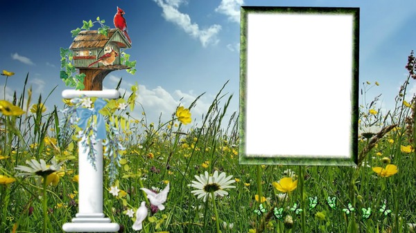 cadre nature Photo frame effect