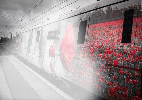 train coquelicot Photo frame effect