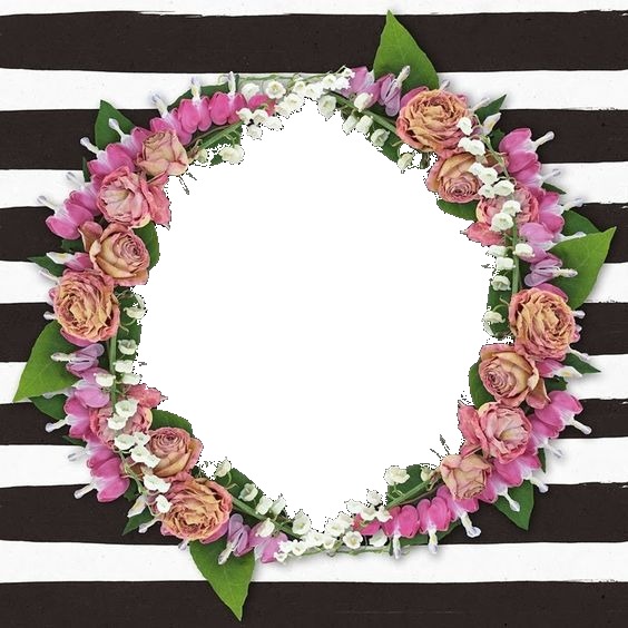 corona de rosas rosadas en hexágono, sobre fondo rayado. Photomontage