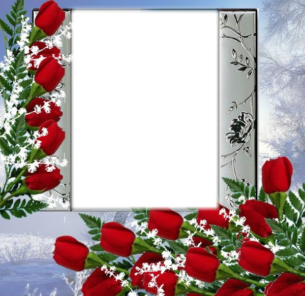 cadre de roses rouge Фотомонтаж