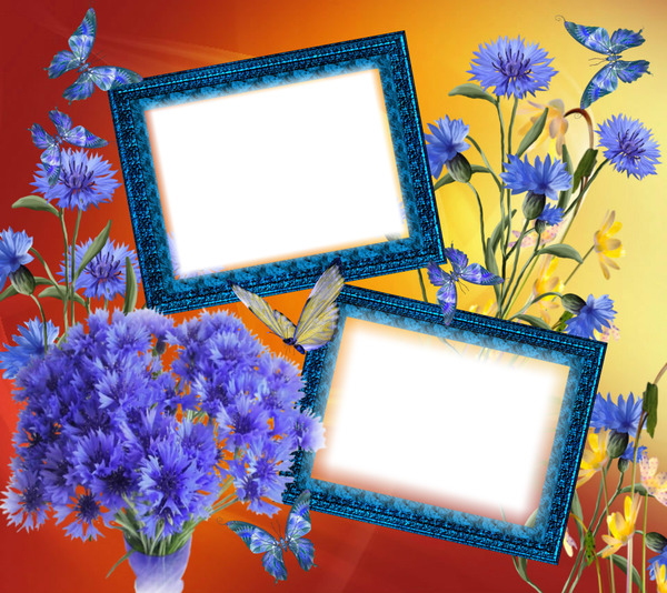 Cadre fleurs papillons Photomontage