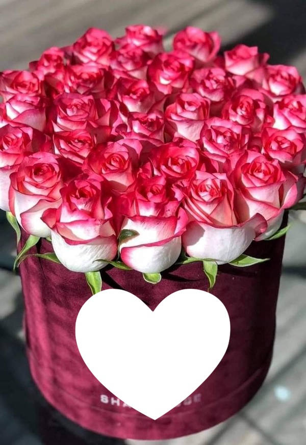 Bouquet de roses Фотомонтажа