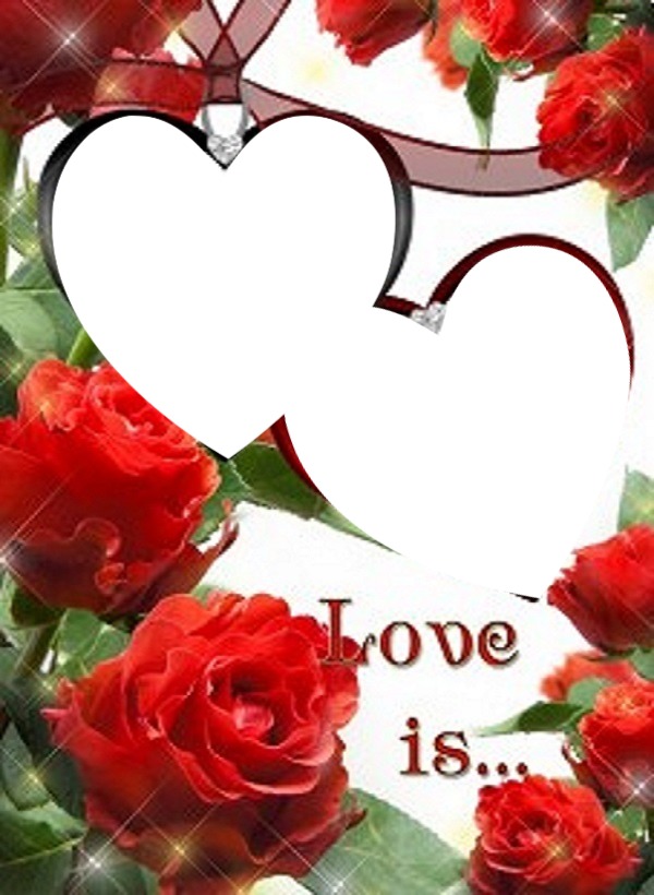 dos corazones, entre rosas rojas, 2 fotos. Fotomontáž