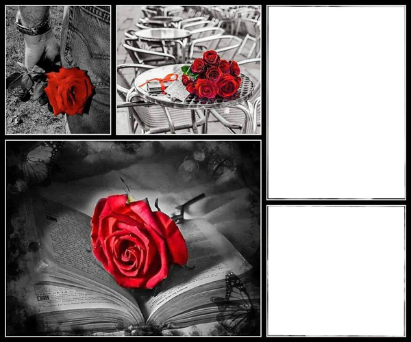 roses Фотомонтажа