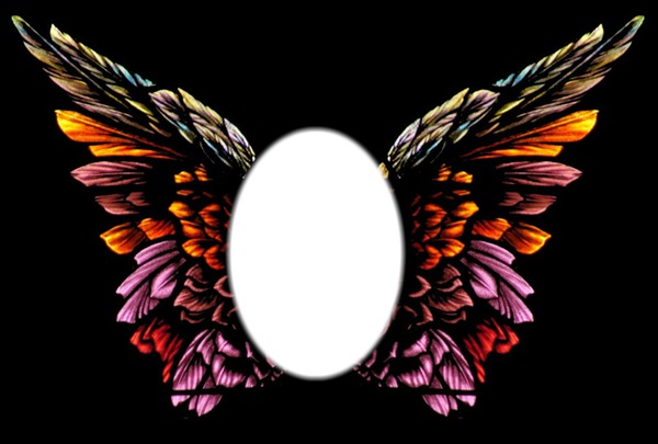 colorfull wings Photo frame effect