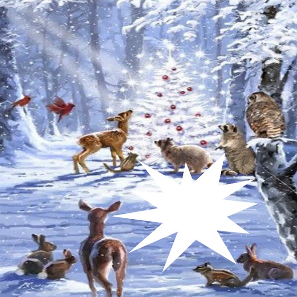 cadre neige animaux 1 photo Photomontage