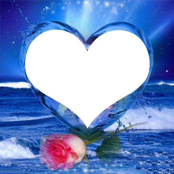 un coeur avec une rose 1 photo Fotoğraf editörü