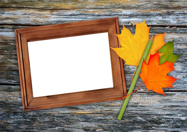 Automnal wood Photo frame effect