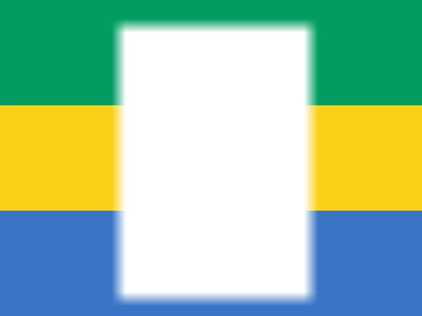 Gabon flag フォトモンタージュ