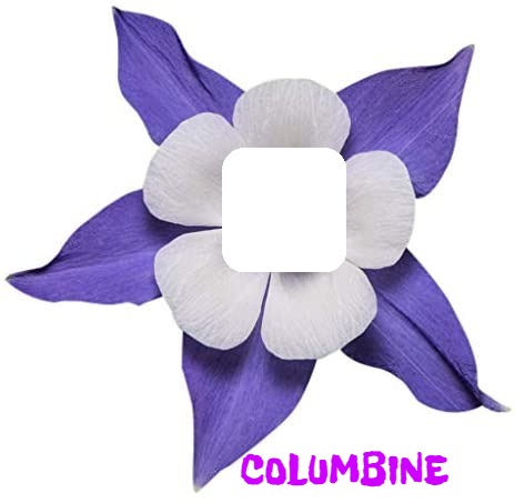 Columbine 3 Фотомонтажа