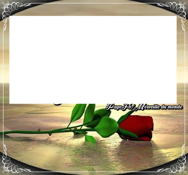 petite rose Photomontage