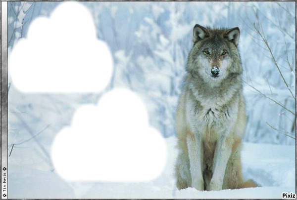 best friend wolf Fotomontage