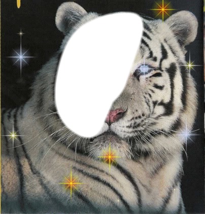 tigre blanc フォトモンタージュ
