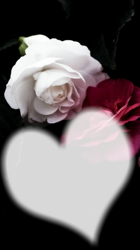 zwei Rosen mit Herz Valokuvamontaasi