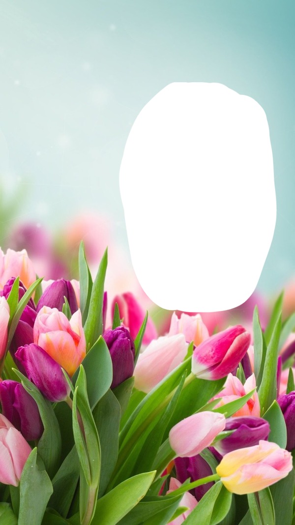 Tulip Fotomontage