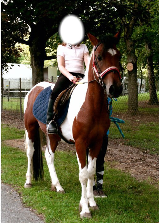 à l'équitation Fotomontāža