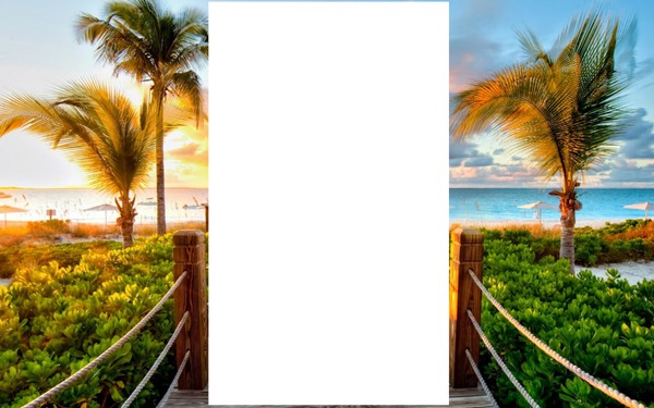 Cadre tropical Photomontage