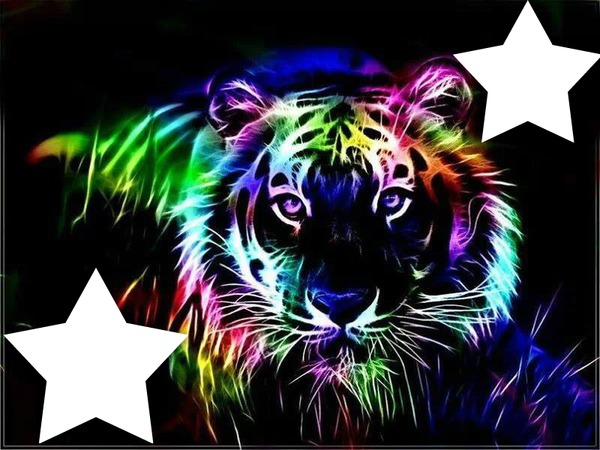 tigre multicolore 2 photos Photomontage