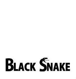 black snake Fotomontasje