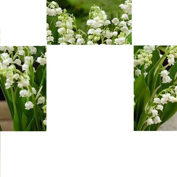 flower frame Valokuvamontaasi