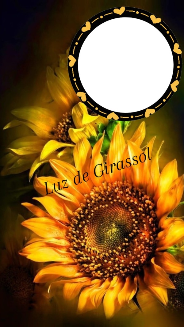 Girassol Mimos de Cecinha Photo frame effect