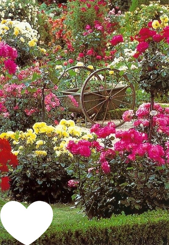 Jardin fleuri Valokuvamontaasi