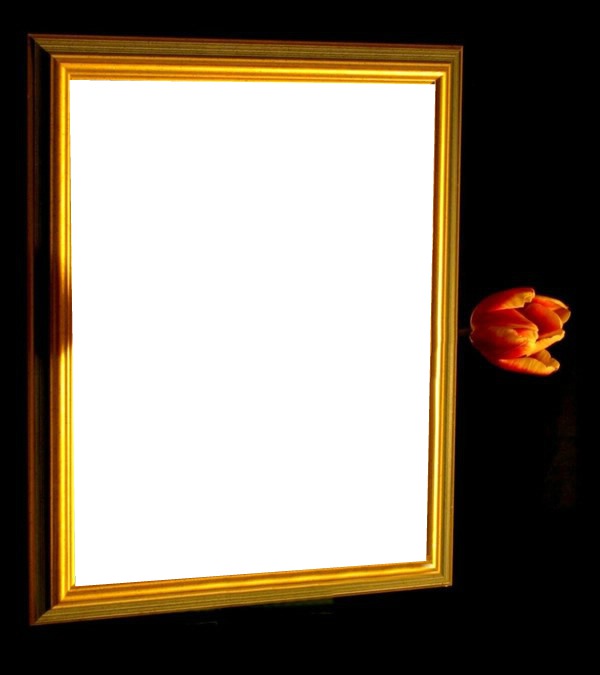 cadre fleuries Photo frame effect