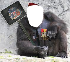 gorille à l'armée Fotomontasje