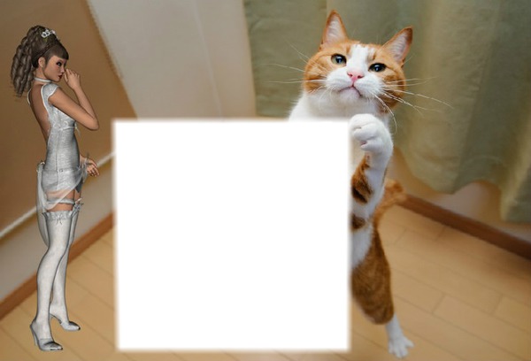 gato-marco Fotomontažas