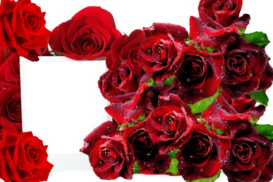 Cc Rosas y mas rosas Photomontage