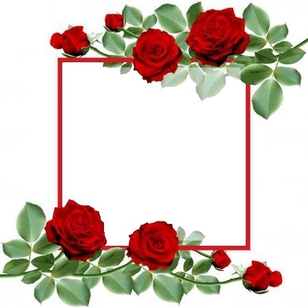marco y rosas rojas. Fotomontagem