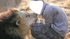 baiser du lion Fotomontaža