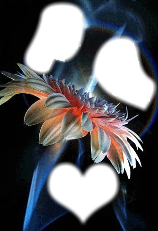 Fleur cintille 1 Bulles Fotomontāža